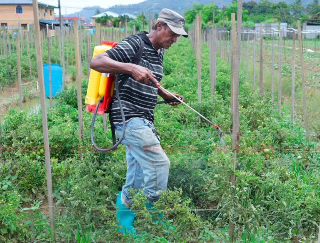 Agri Society: Expand incentives, no more ‘talk shop’