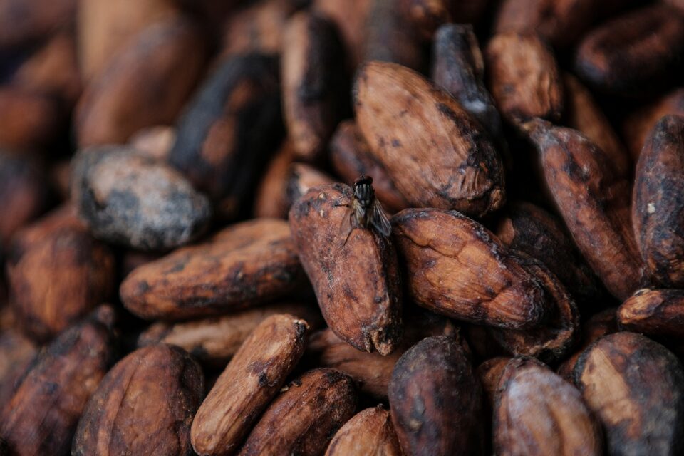 Ghana raises cocoa prices following Ivory Coast hike