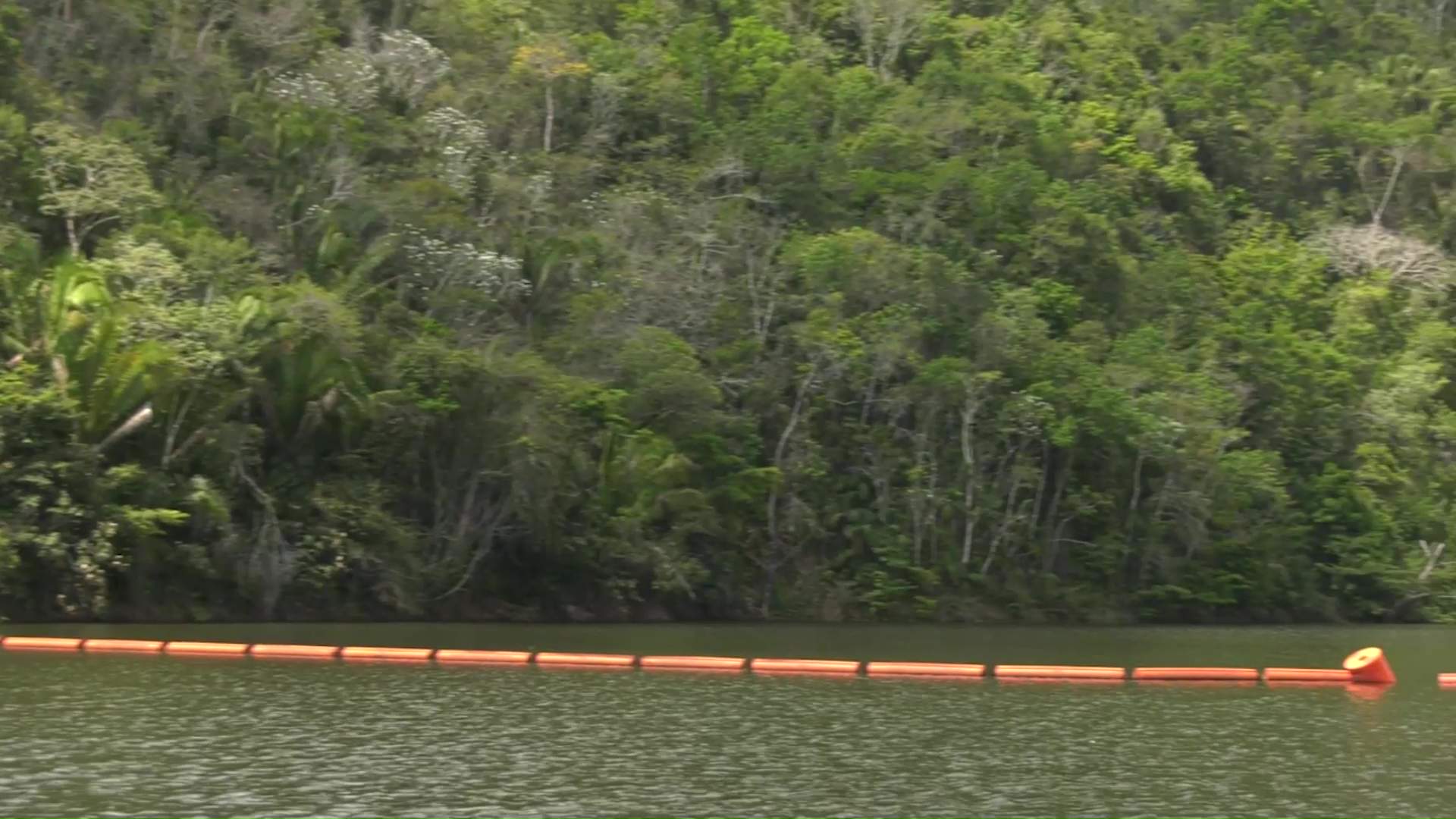 Panton Questions Economic Impact of Fortis Nationalization on Electricity Costs