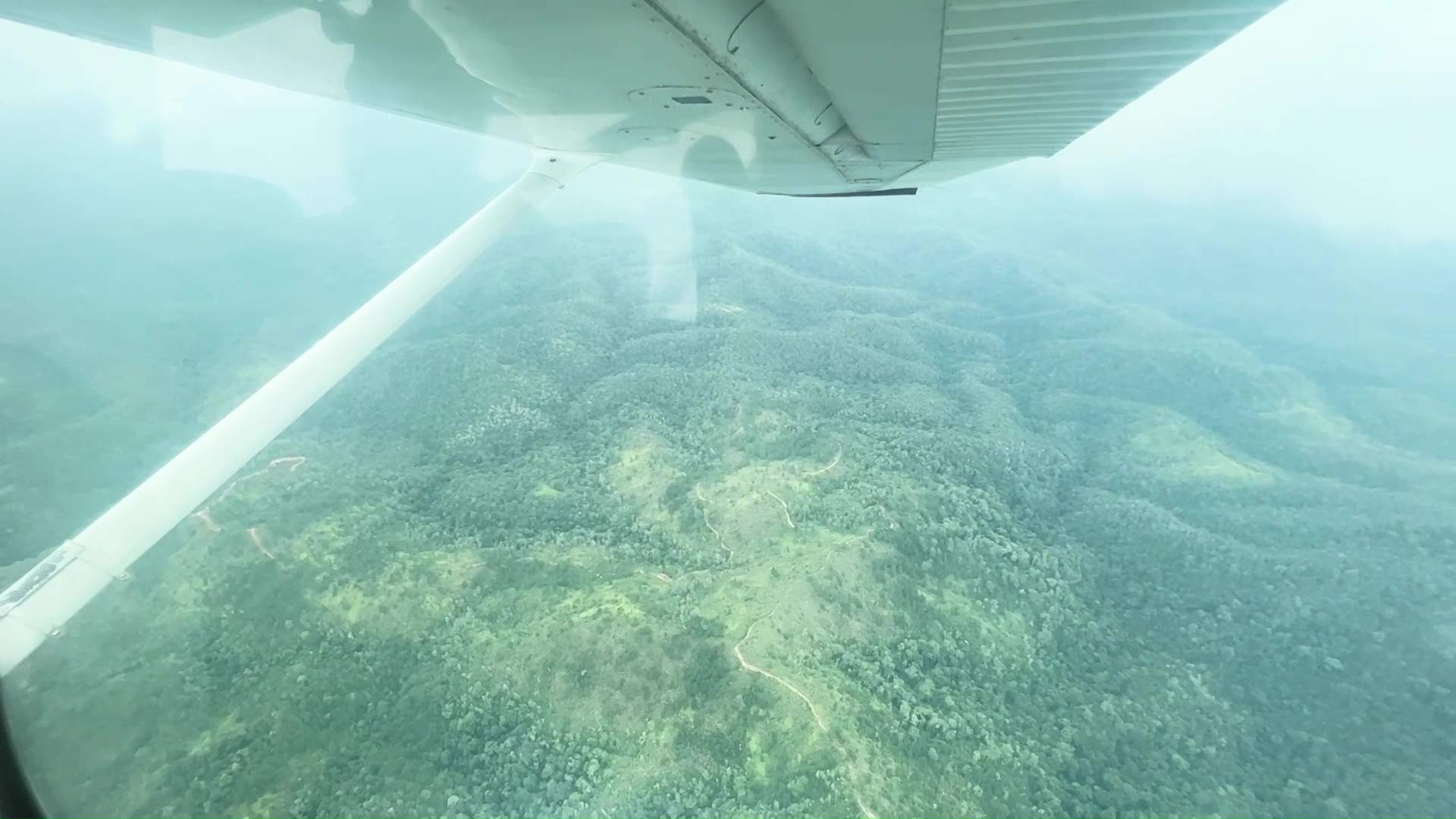 Illegal Land Clearing Suspected in Vaca Reserve
