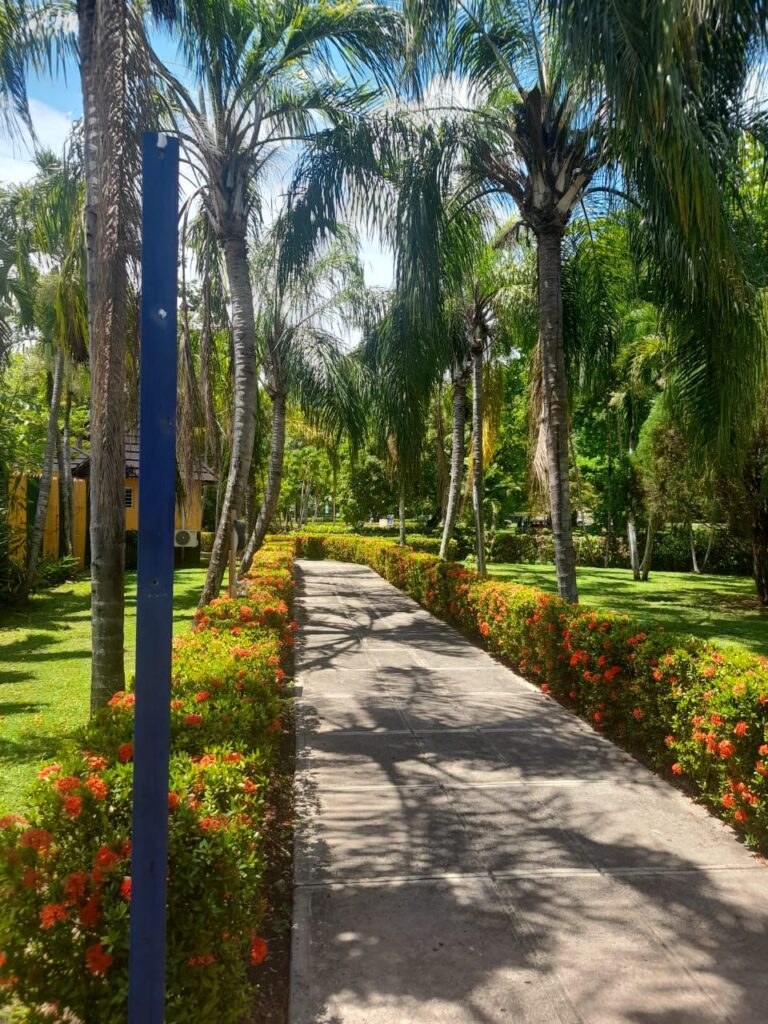 UDC announces the reopening of Turtle River Park