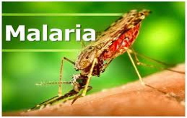 PAHO urges governments to do more to deal with malaria cases