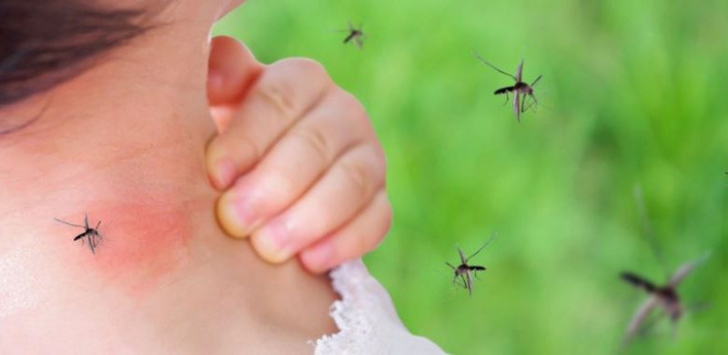 Three provinces account for 95% of malaria cases