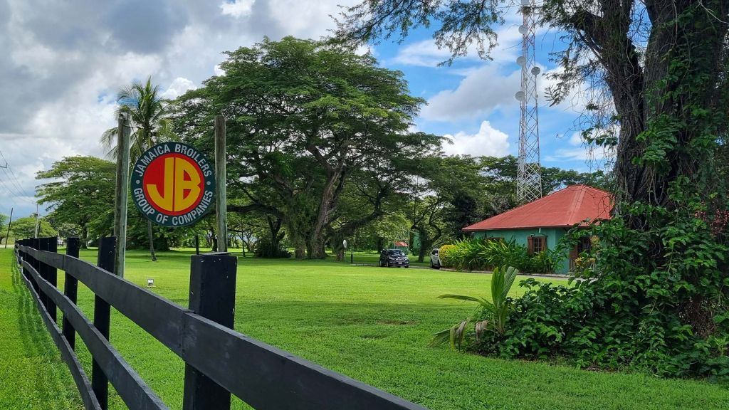 Jamaica Broilers Group mobilises relief for Hurricane Melissa victims