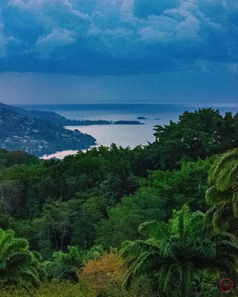 Women In Art Organisation of Trinidad and Tobago hosts Transformations