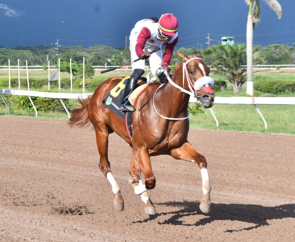 Formalist shines in debut victory