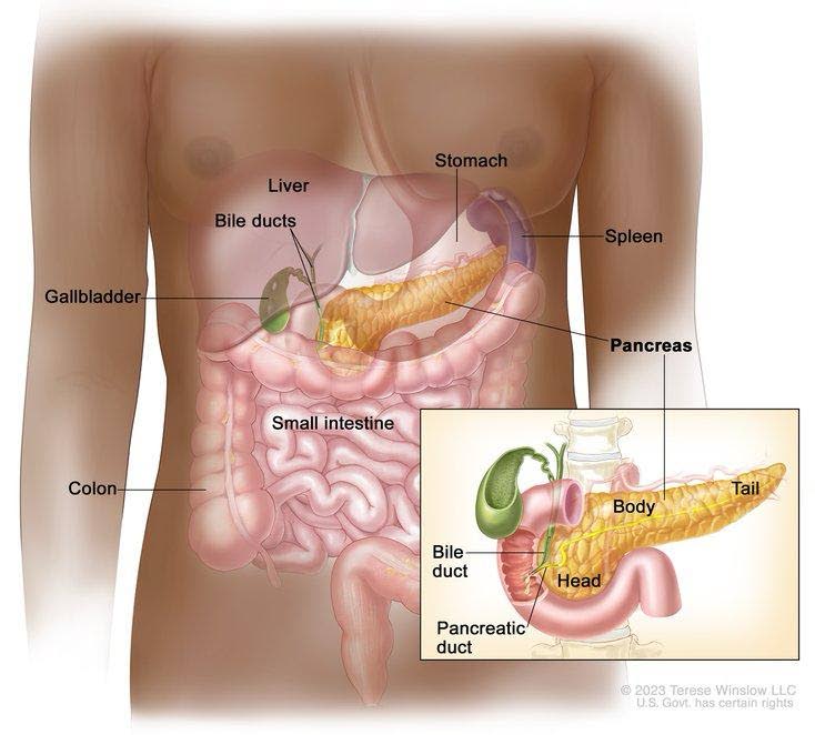 Pancreatic cancer: Silent nature, growing threat
