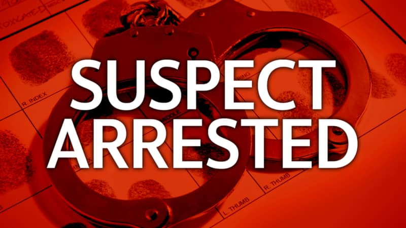 Suspect Arrested in House Breaking Incident at Fort Road