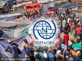 Insecurity : Historic record of displaced persons