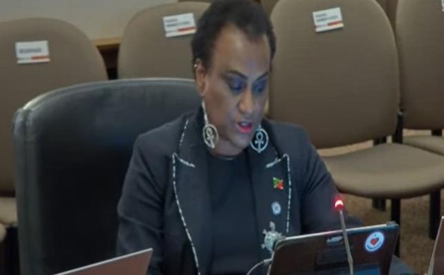 St. Kitts and Nevis stands in solidarity with Jamaica as Ambassador highlights climate change crisis at OAS
