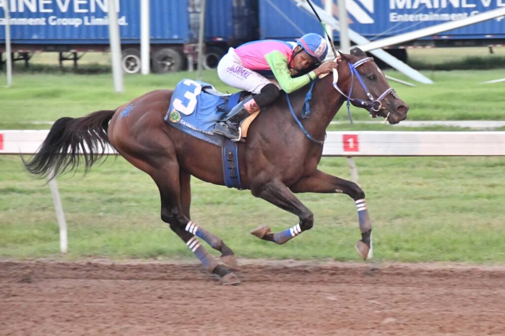 RACE DAY REVIEW FOR SATURDAY, NOVEMBER 15, 2025