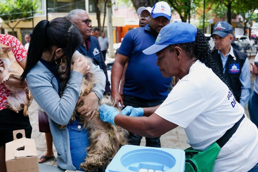 Public Health launches national rabies vaccination campaign for pets