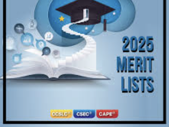 Fifteen Dominican students rank in top 10 in Regional Merit List across various subjects