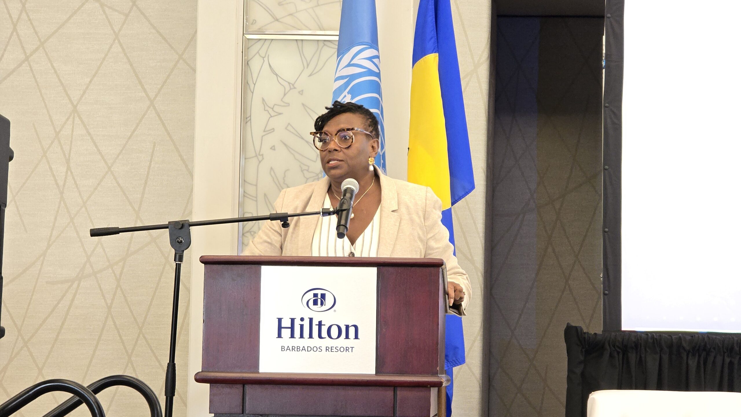 New debt-for-social swap to boost education, healthcare, heritage – minister