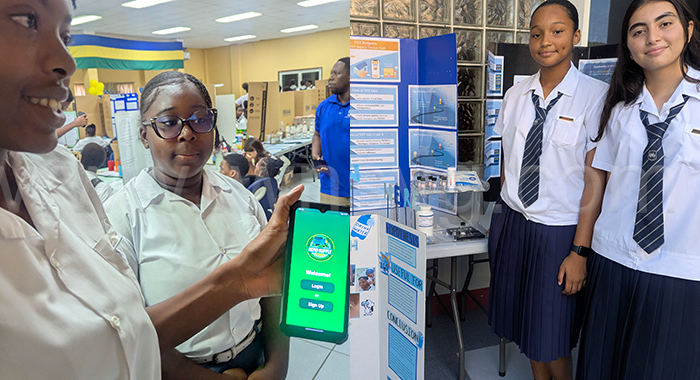 Innovation across sectors at science fair