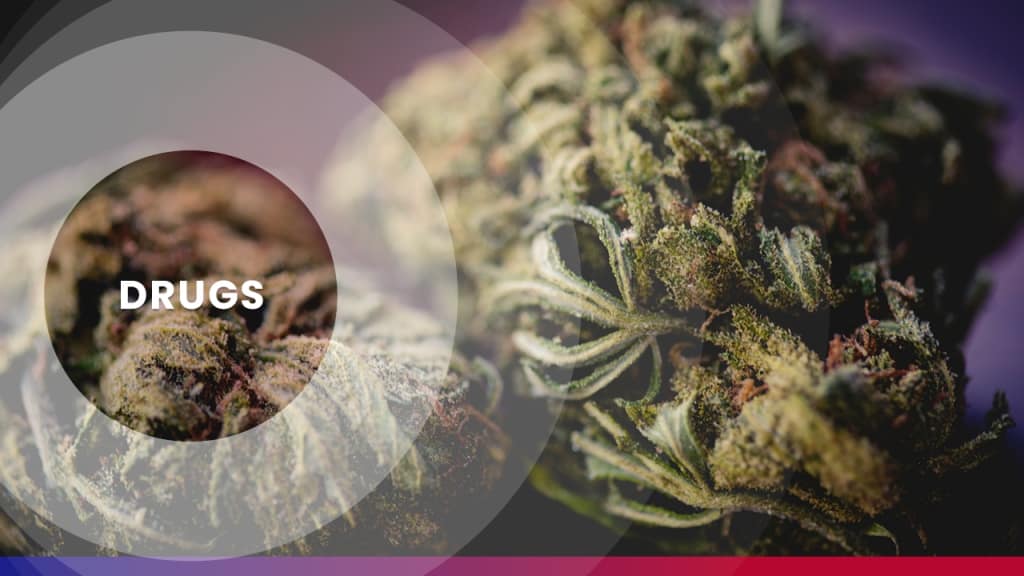 Two Men Arrested for Unlawful Possession of Cannabis