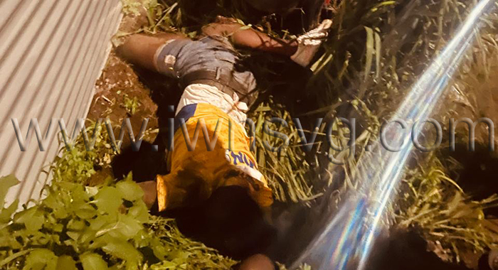 NDP supporter dies in car crash