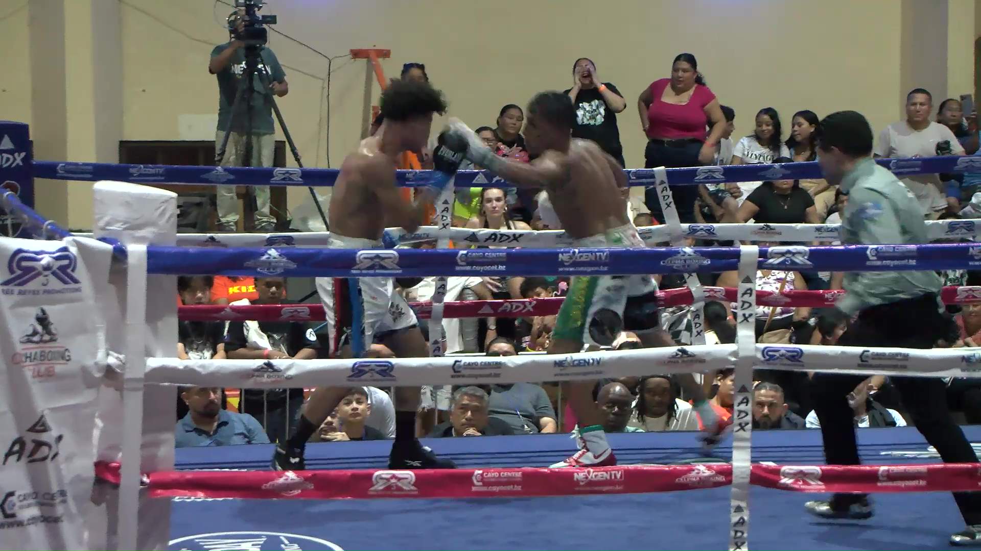Belize Boxing Sensation Suffers Devastating First Defeat
