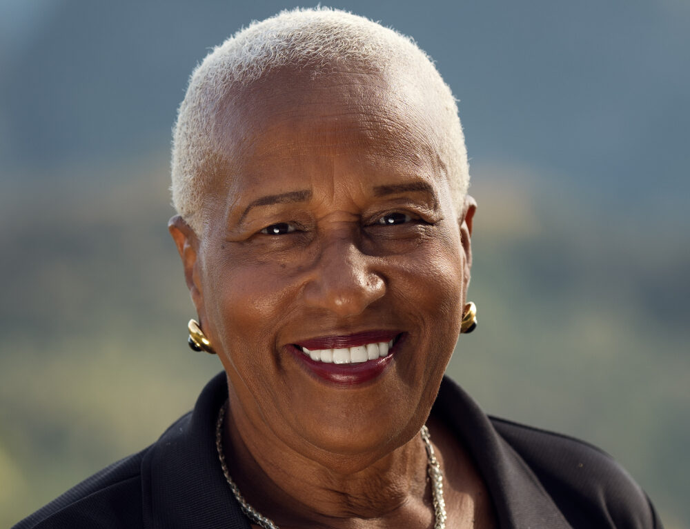 Solar Tours & Travel earns silver medal at Stella Awards