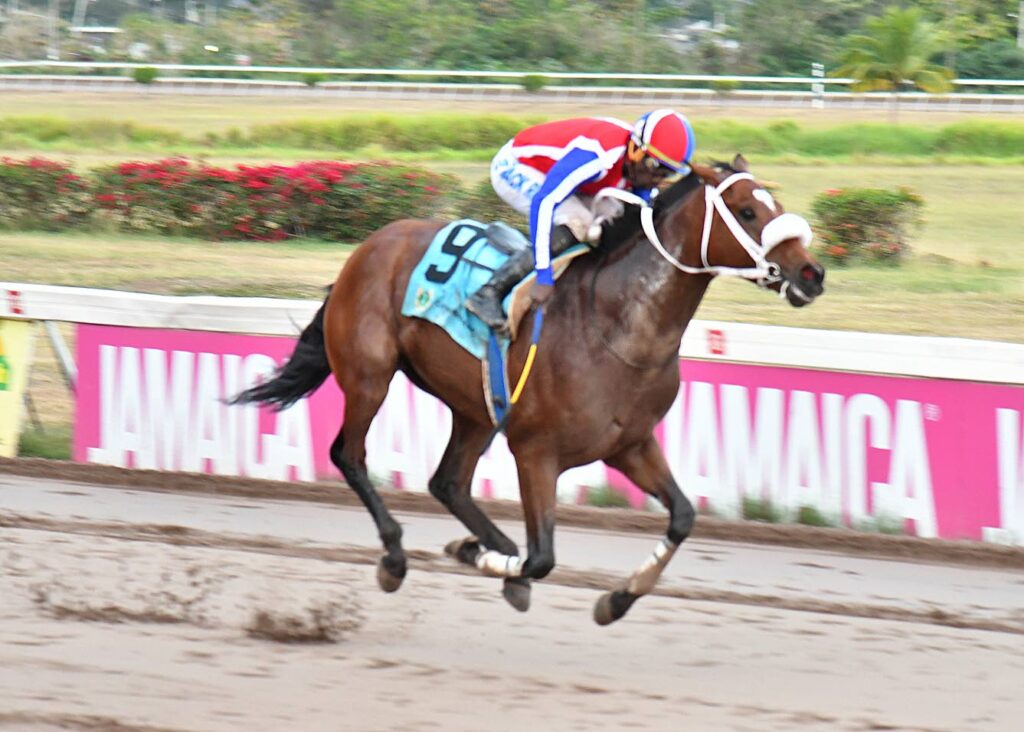 Jamaica Cup showdown: Funcaandun favours to win