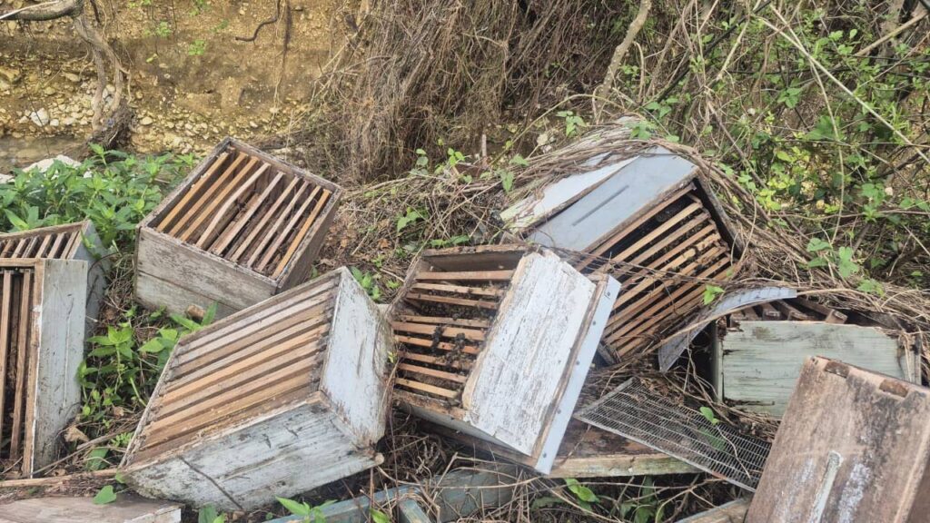 Colonies shattered; honey production in peril