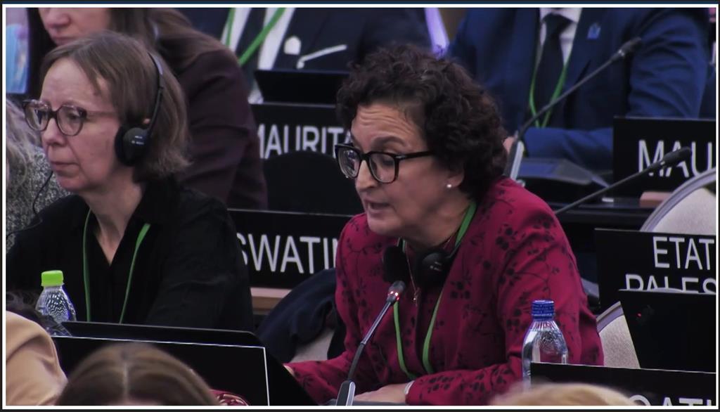 Cuba reaffirms support for Palestinian people’s rights