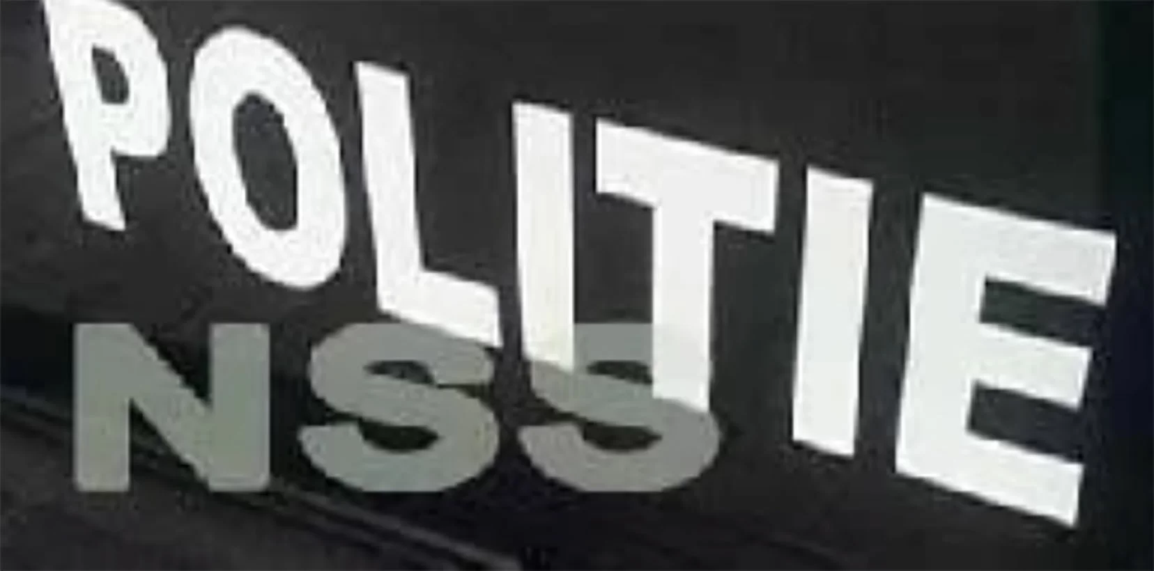 Braziliaanse bijen vallen echtpaar aan in weiland