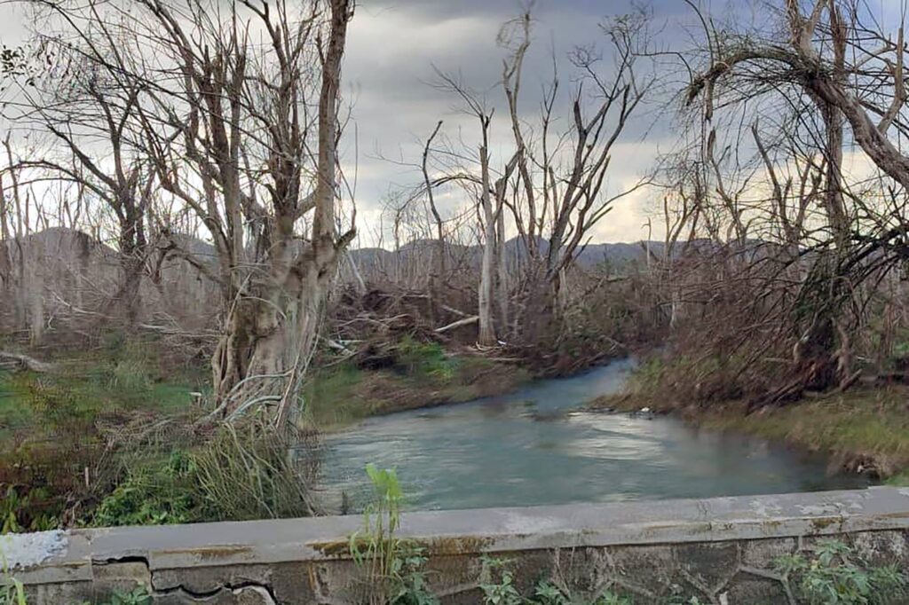 New springs won’t last, says Water Resources Authority