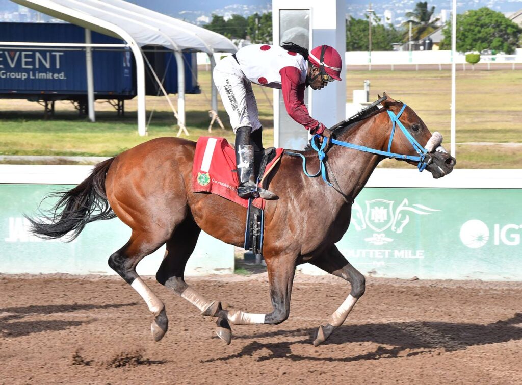 Watson, DaCosta, Halledeen look to shine with Funcaandun and Dothraki on Jamaica Cup race day