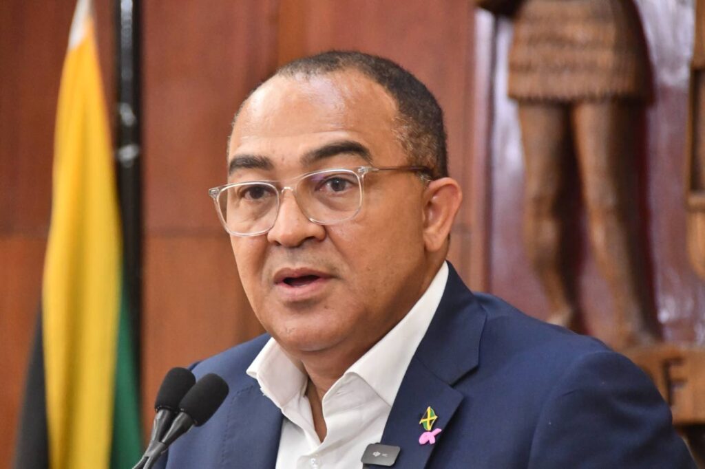 #MelissaAftermath: Tufton says teams accessing reports of dead bodies in remote areas