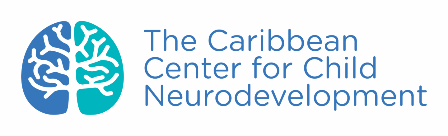 Caribbean Centre for Child Neurodevelopment launches fatherhood programme