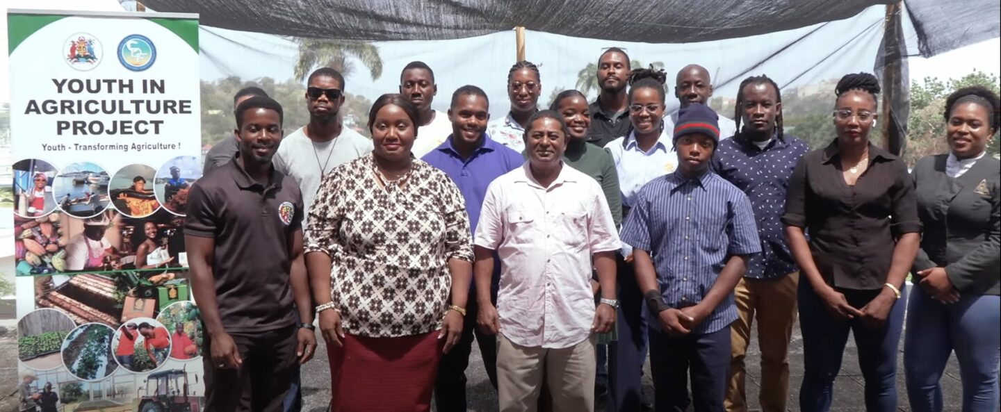 Youth In Agriculture Programme engages young farmers in Carriacou and Petite Martinique