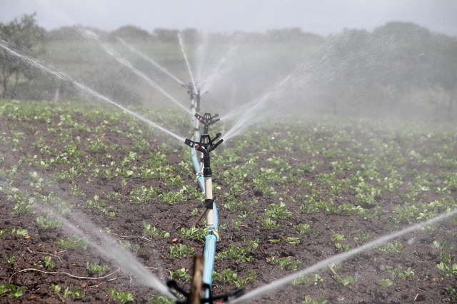 REOI — Consultancy for design and installation of irrigation systems on farms in Grenada