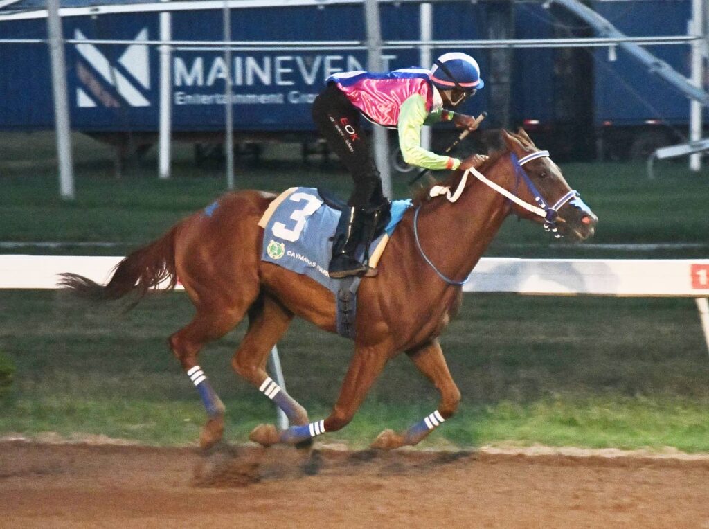 Zulu Warrior spints home with URTAJ Trophy feature