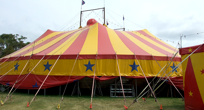 SVG’s political circus