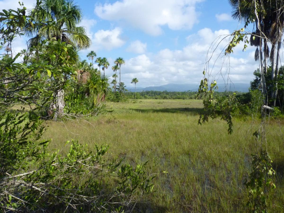 Protecting the Aripo Savannas: Fencing as a last resort?