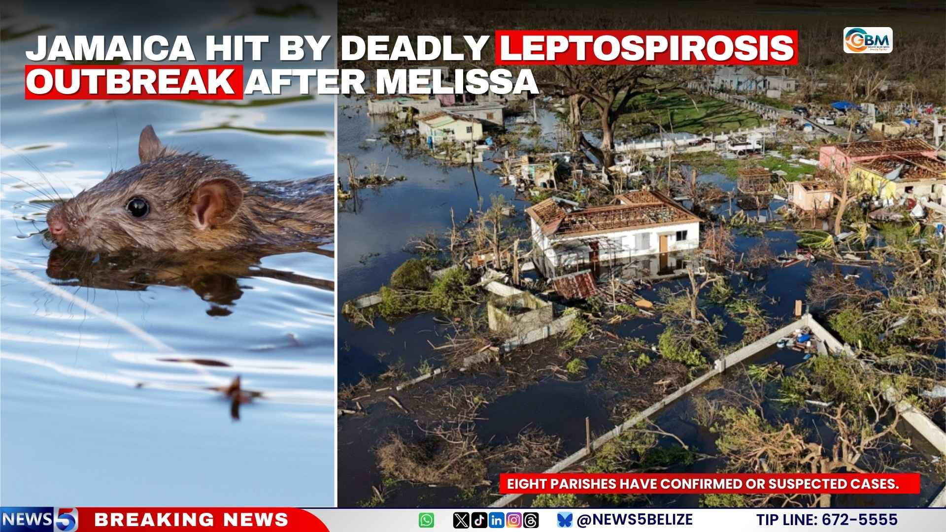 Jamaica Hit by Deadly Leptospirosis Outbreak After Melissa