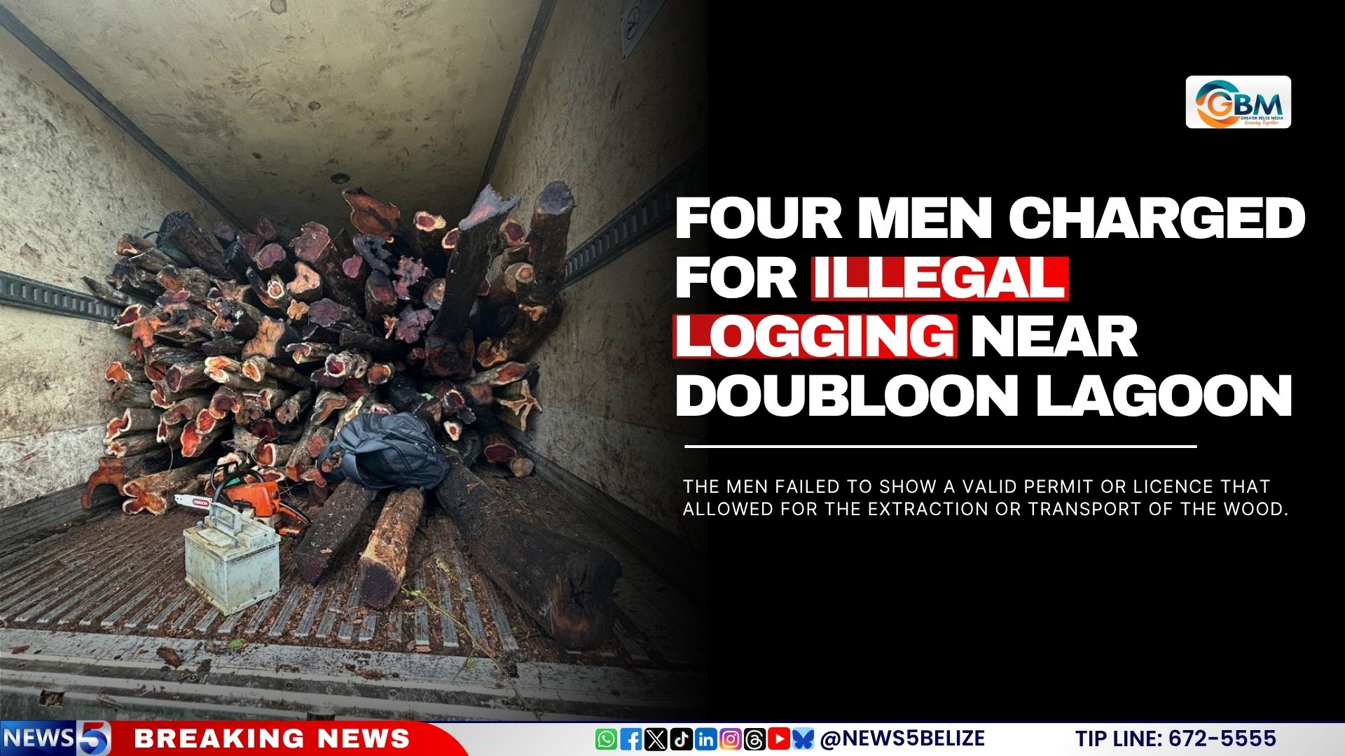 Four Men Charged for Illegal Logging near Doubloon Lagoon