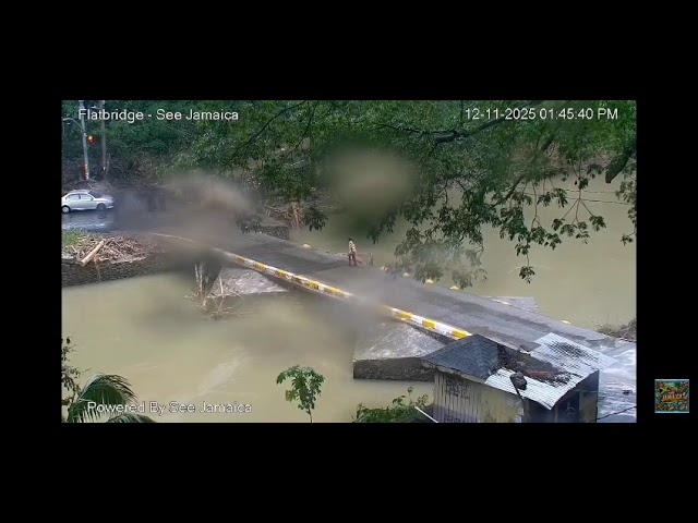 WATCH: Man seemingly falls from police van into Rio Cobre