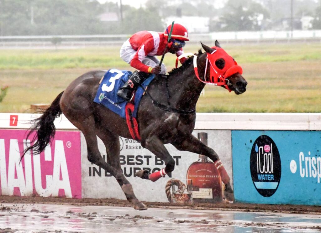 Nunes’ strong hand: Fearless Force and Linguist lead pack in St Elizabeth Distaff