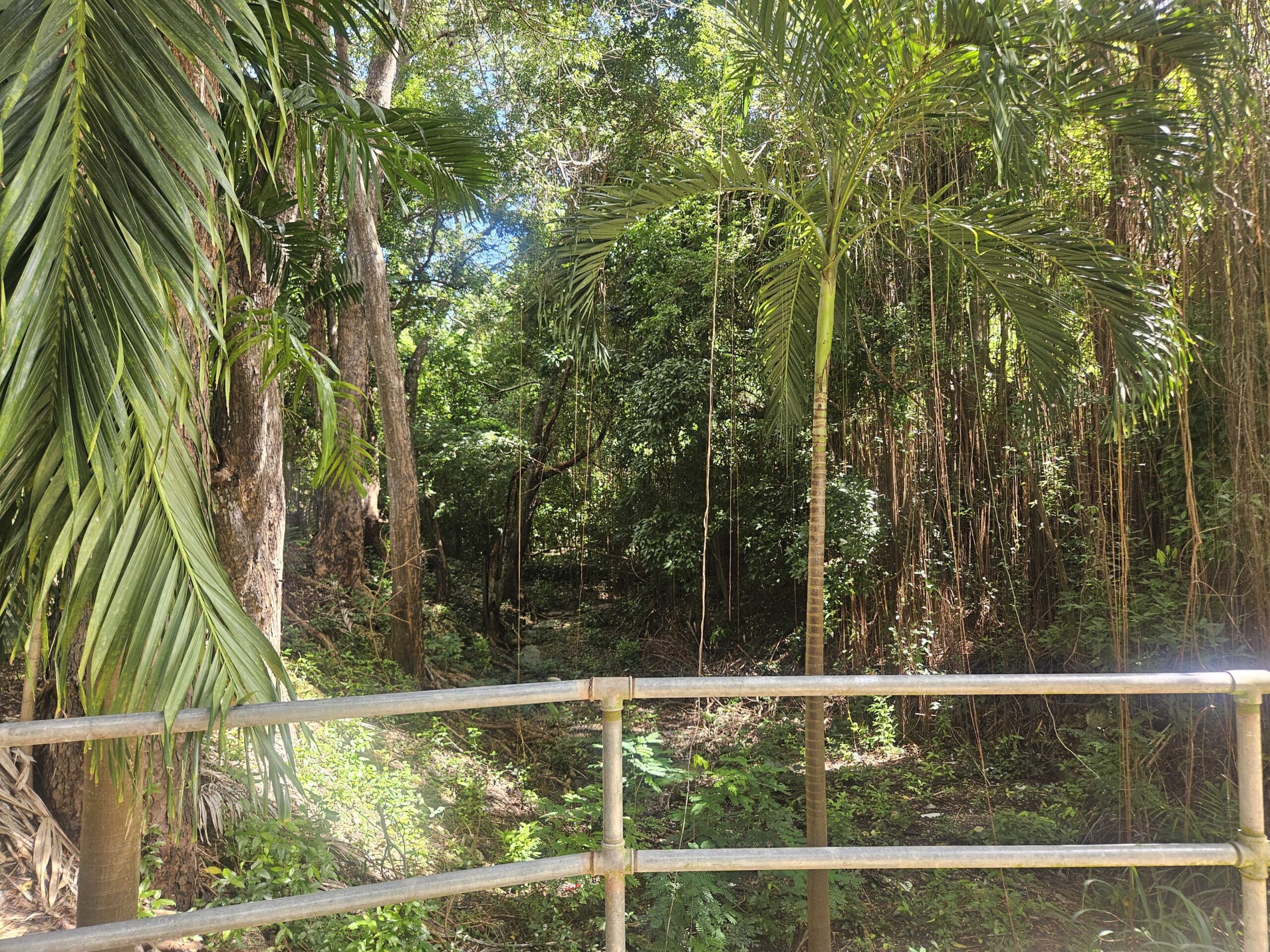 Foul odour persists in Ashton Hall despite repeated complaints