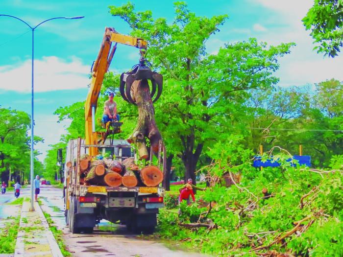 Discipline is the guarantee of success