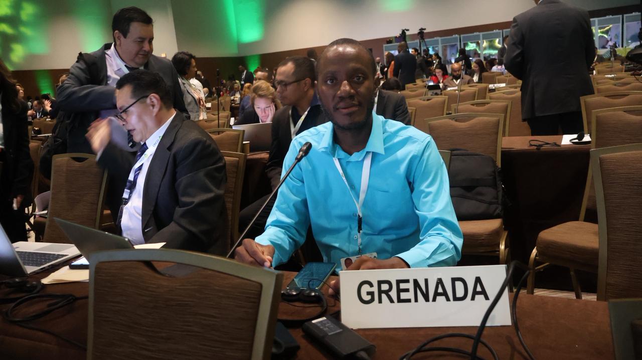 Grenada highlights efforts to attain land degradation neutrality