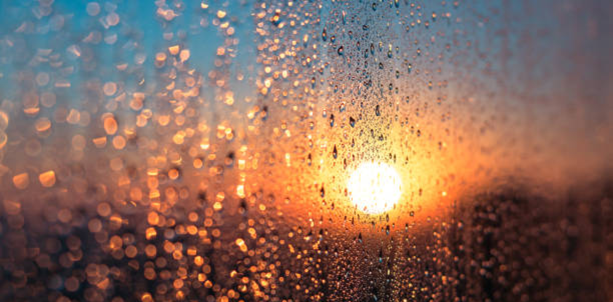 Sunny atmosphere and isolated showers: weather forecast for this Sunday