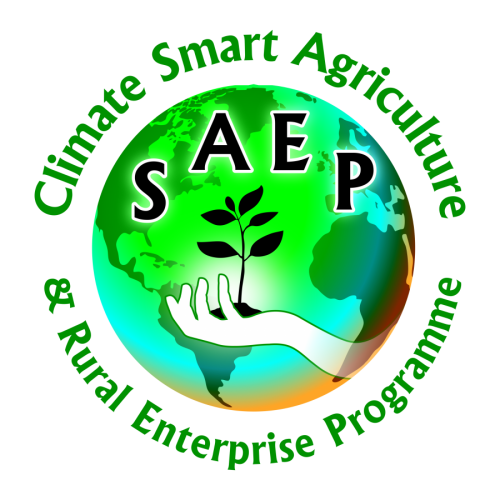 RDU–SAEP capacity building sessions with Concord farmers
