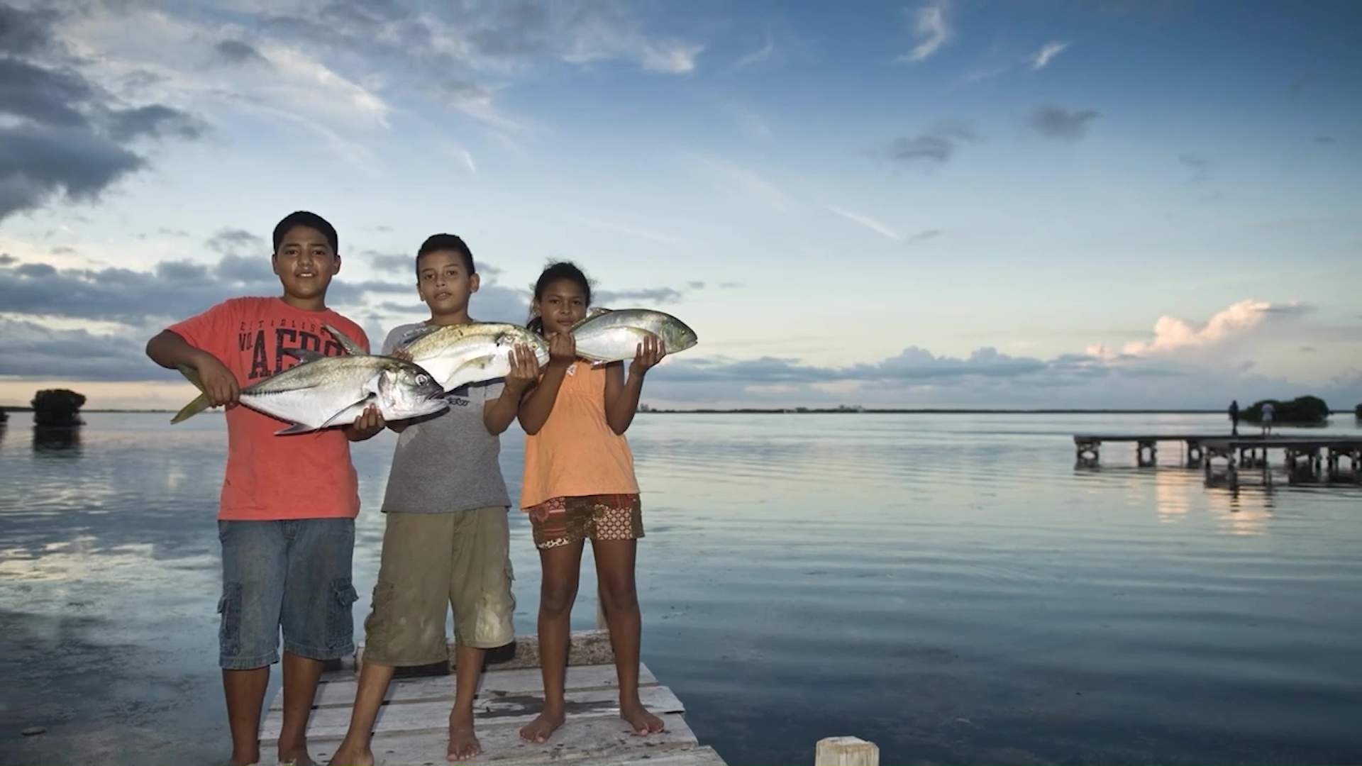 30% Marine Protection Plan Meets Strong Opposition