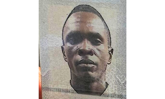 Father of seven dies while picking breadfruit