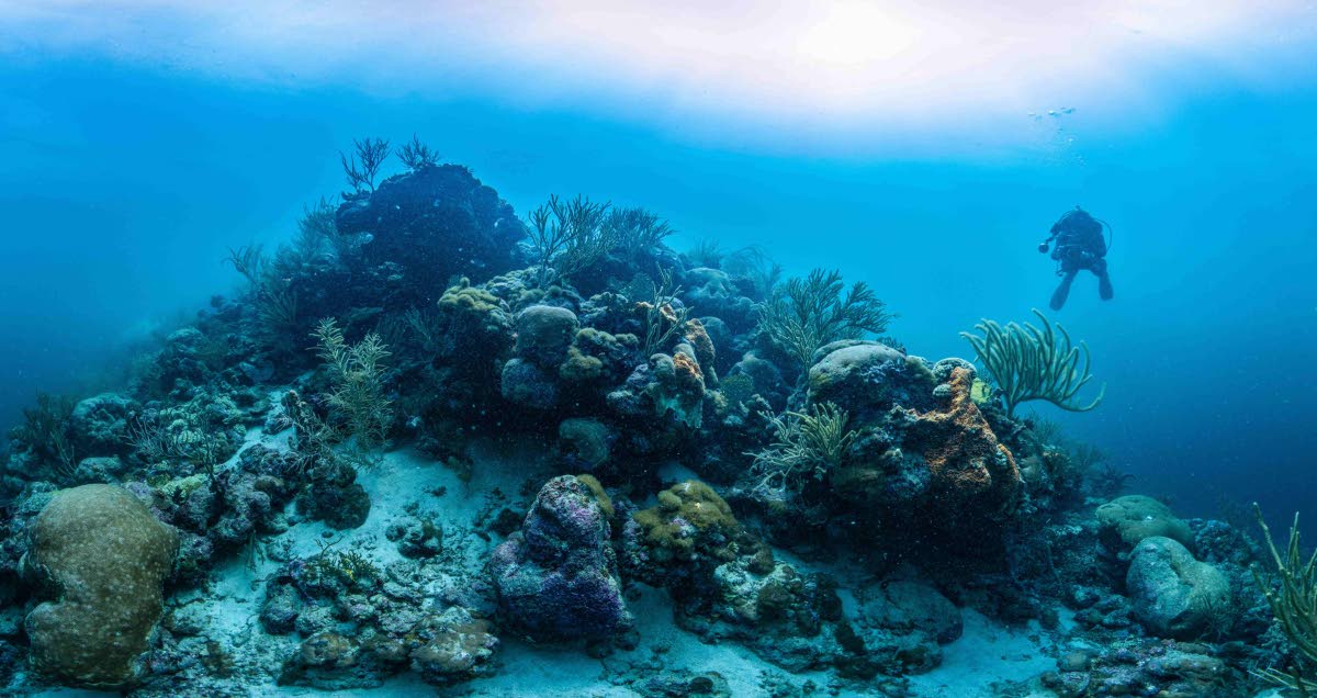 10 coral reefs to visit in 2026