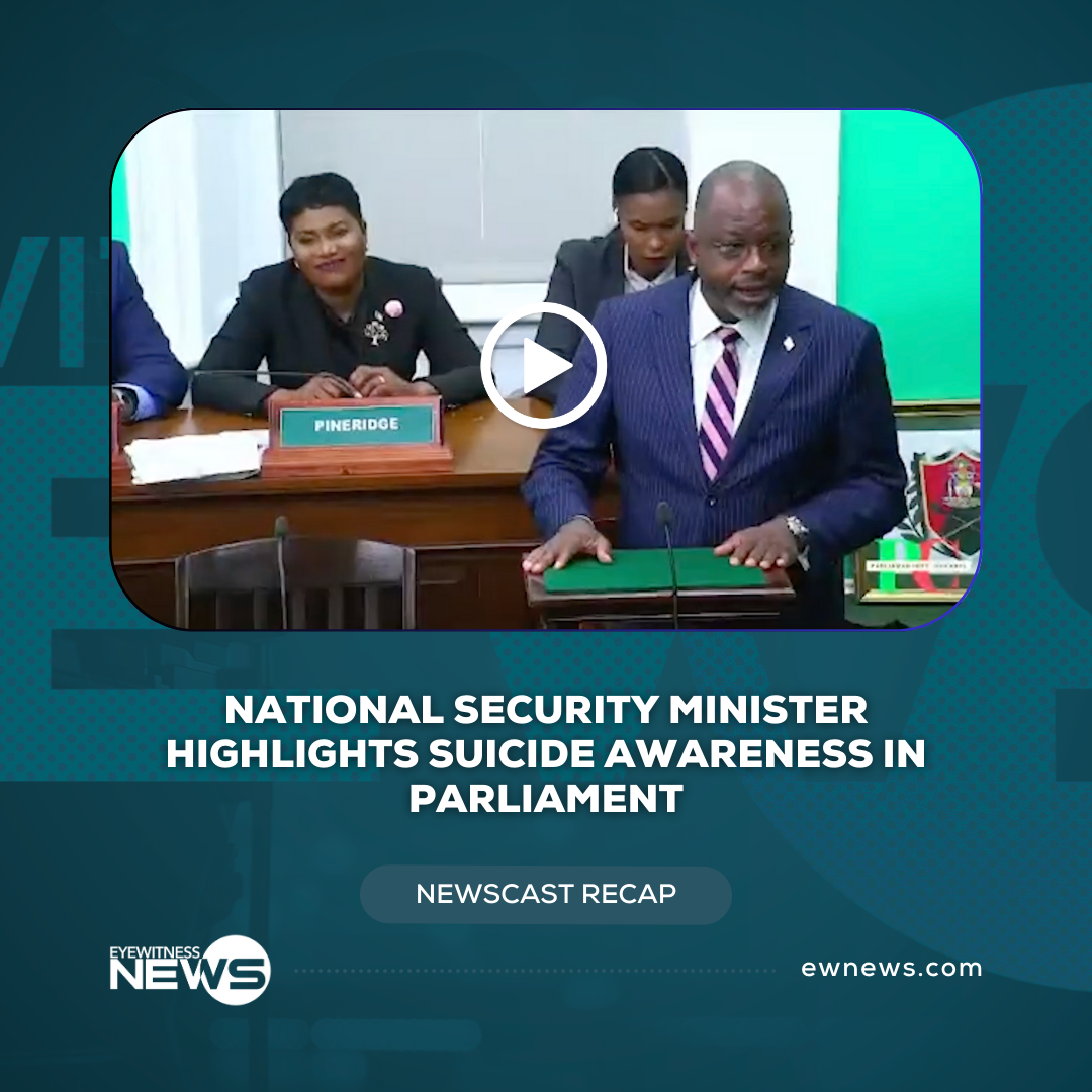 National Security Minister Highlights Suicide Awareness in Parliament