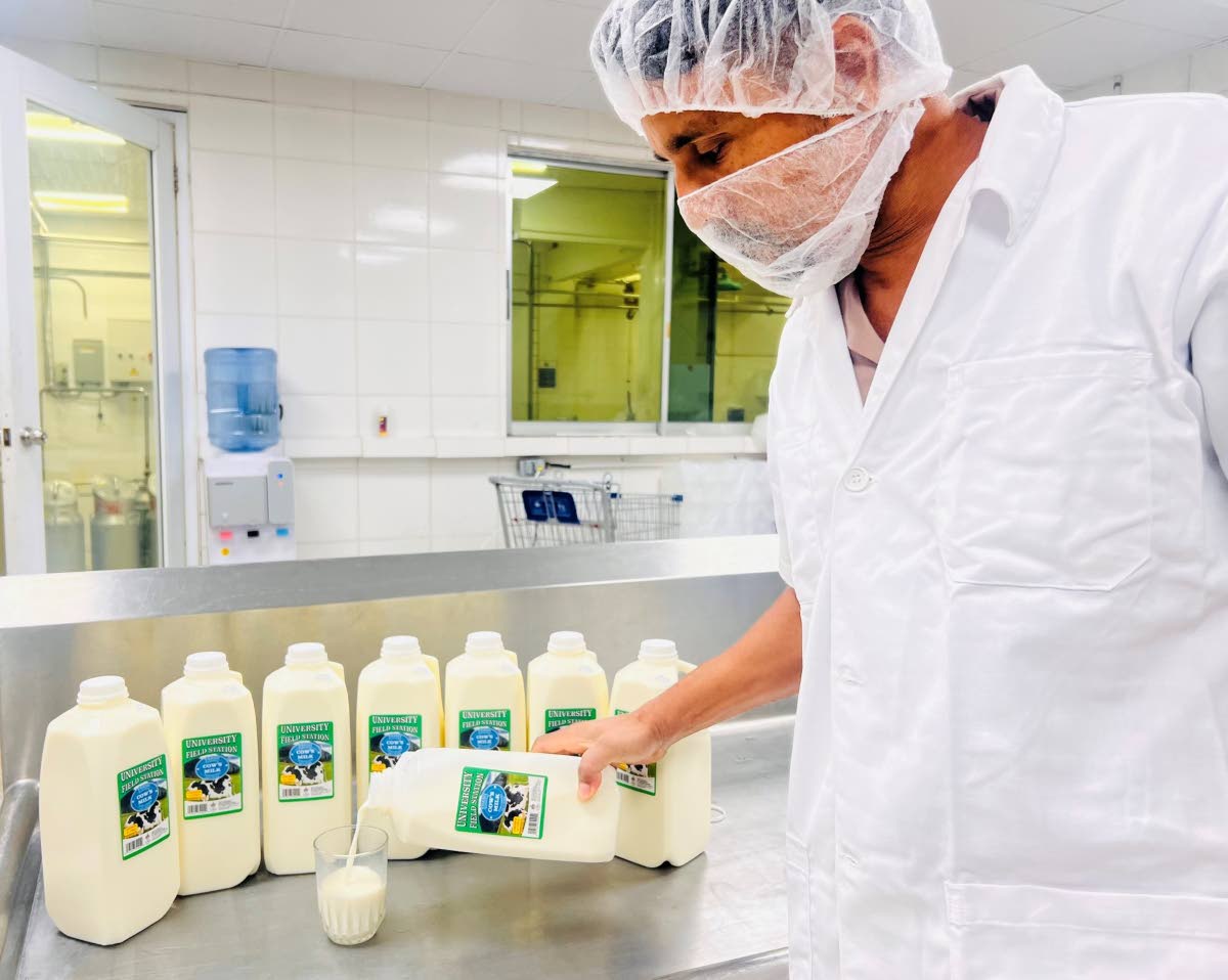 UWI spotlights production of its high-quality field station milk